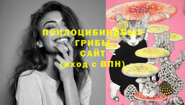 эйфоретик Нефтекумск