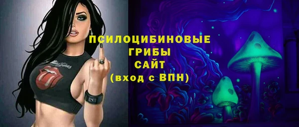 PSILOCYBIN Видное
