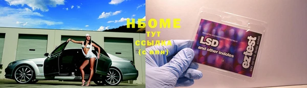 эйфоретик Нефтекумск
