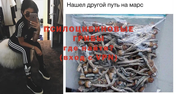 apvp Нея