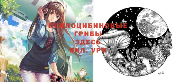 2c-b Нефтегорск