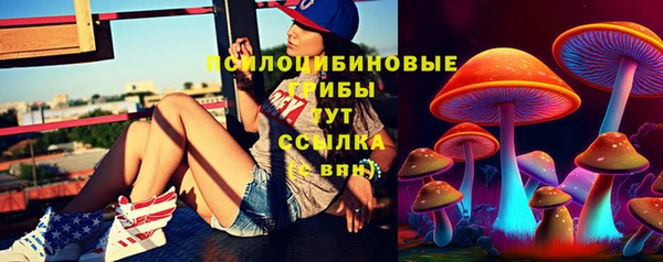 2c-b Нефтегорск